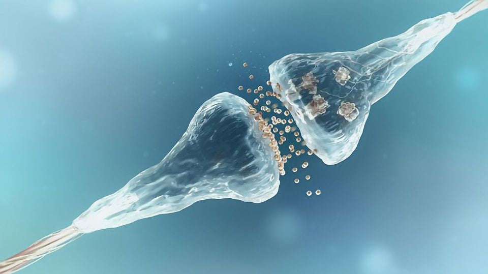 Nevral Tablets: Uses, Active Ingredients, Benefits & How to Use