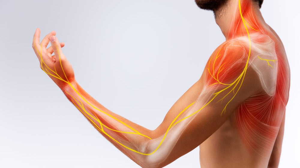 Nevral Tablets: The Ultimate Guide to Reclaiming Nerve Comfort and Mobility