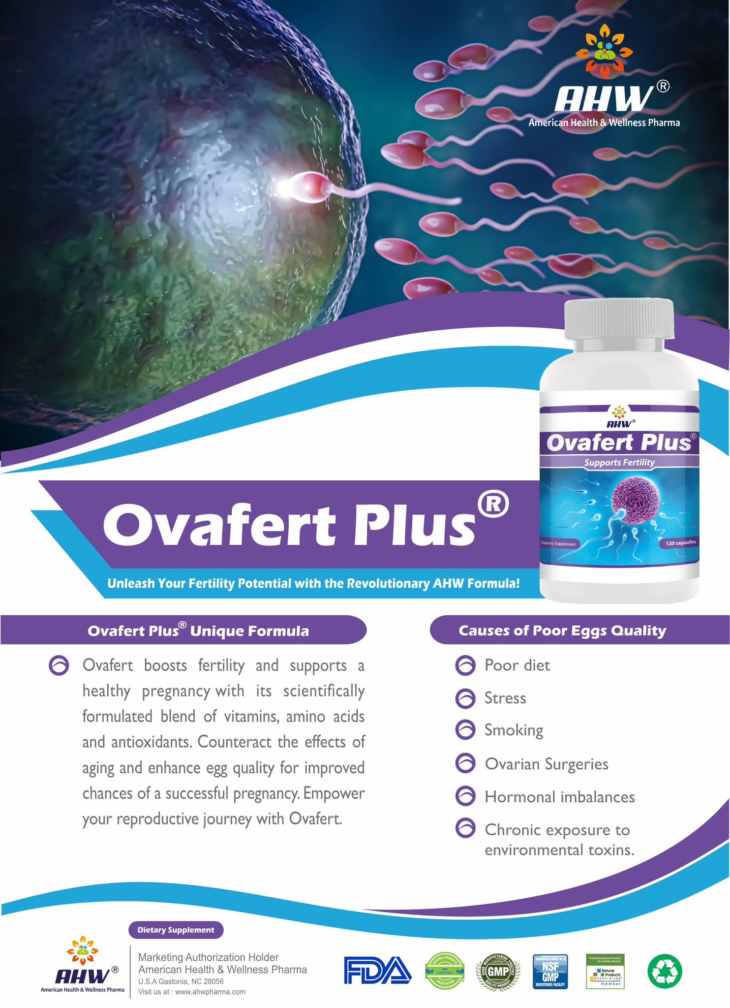 Ovafert Plus fertility supplement, best supplement for PCOS, egg quality booster Jordan, female fertility capsules UAE, inositol for ovulation, fertility vitamins KSA