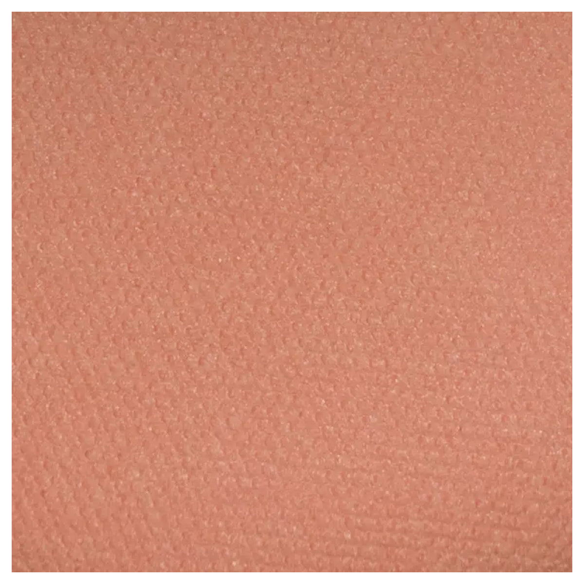 Isadora Perfect Blush 01 Warm Nude long lasting powder blush natural radiant finish Health Boutique