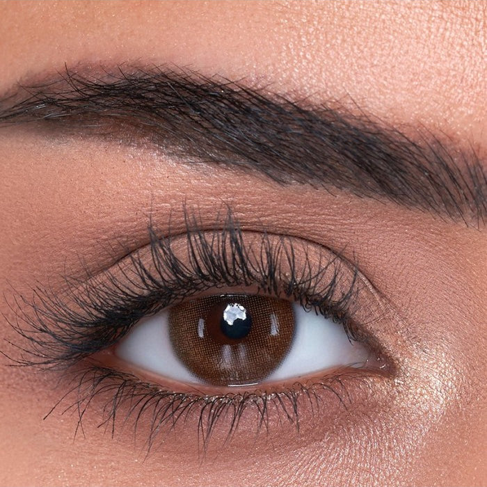 Raghad Organics Oud Lenses Brown