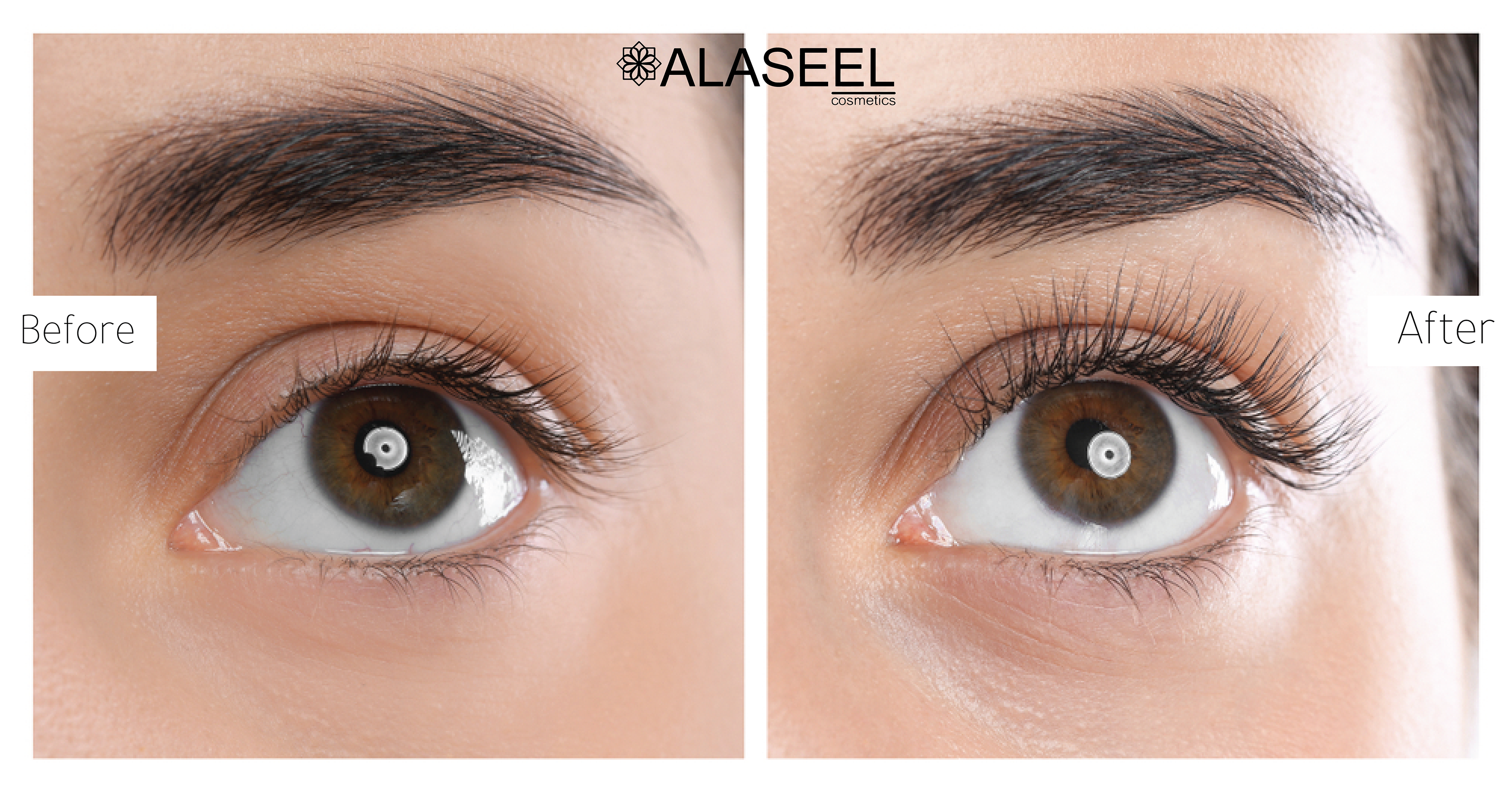 Alaseel Brand Eyelash and Eyebrow Growth Serum - Nourishing Formula for Longer, Thicker Lashes and Brows