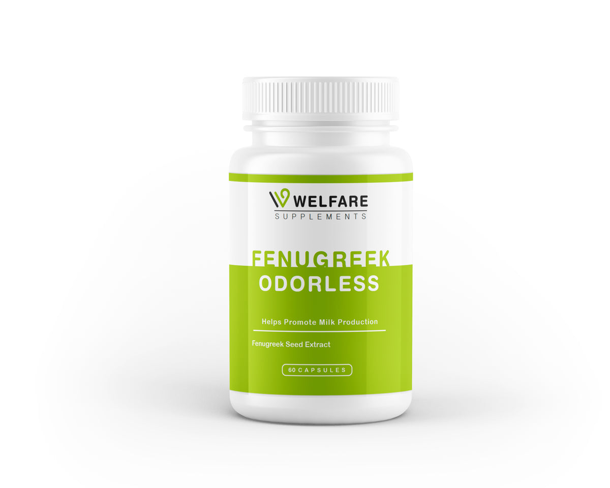 Fenugreek Odorless