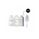Olaplex Hair Repair Treat and Maintain Professional Care Set