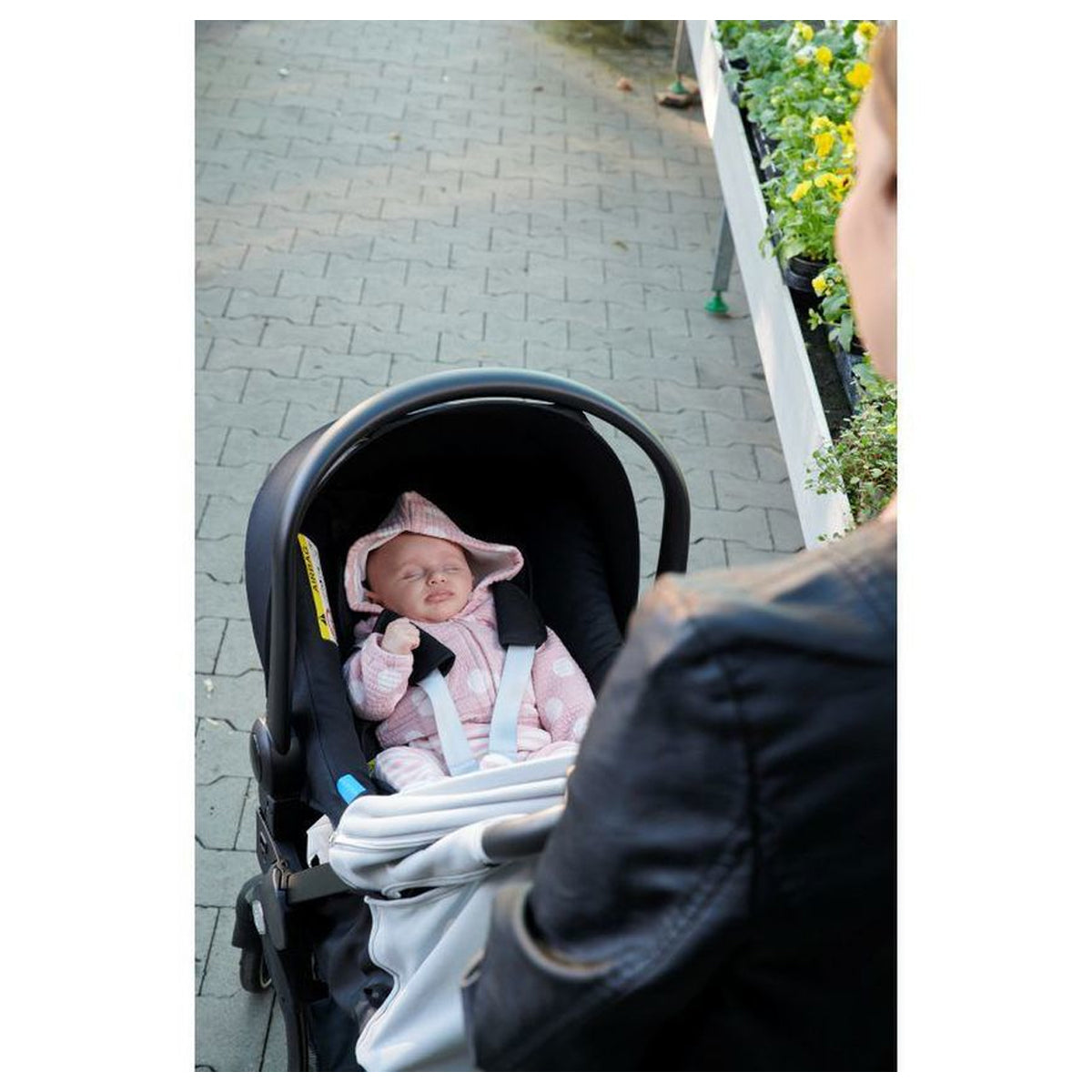 Chicco Fastin C.S. Adaptor Kaily/kiros WE