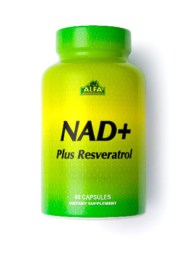 Alfa NAD+ Plus Resveratrol Jordan 60 Capsules – cellular energy, anti-aging and antioxidant support – available at HealthBoutiqueJo.com Jordan.