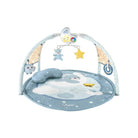 Chicco Toy Fd Enjoy Colors Playgym