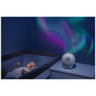 Chicco Toy FD Polar Bear Blue