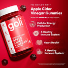 Goli Nutrition Apple Cider Vinegar Gummies 60 – vegan ACV gummies for digestion, detox, and weight management, available at HealthBoutiqueJo.com with fast delivery Jodan, Gulf, GCC, Israel