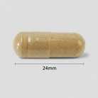 Jamieson ashwagandha capsules stress relief adaptogen supplement relaxation focus mental balance Health Boutique