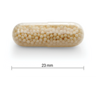 Jamieson vitamin C 500mg timed release capsules immune support antioxidant collagen supplement Health Boutique