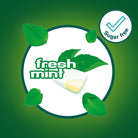 Nicorette Fresh Mint 2mg nicotine gum stop smoking aid 30 pieces-health boutique Jordan