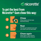 Nicorette Fresh Mint 4mg nicotine gum stop smoking aid 30 pack -health boutique jordan