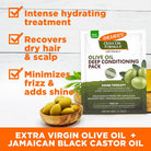 Palmer's Olive Oil Deep Conditioner For Frizz-Prone Hair Pack 60g intensive hair treatment for dry frizzy hair Health Boutique