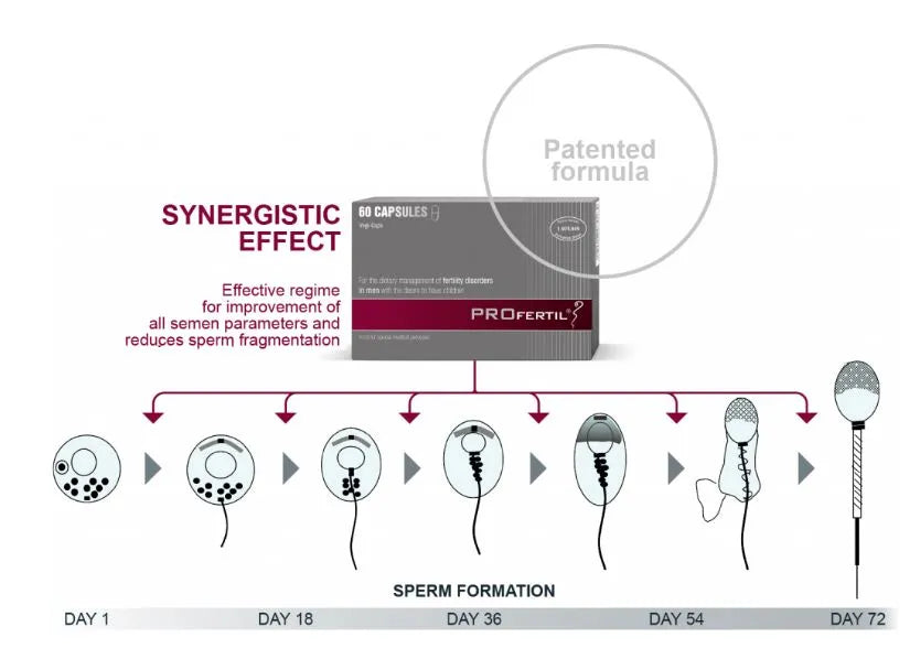 PROFERTIL 60 Capsules | Jordan male fertility supplement bottle | health boutique