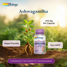 Solaray ashwagandha capsules for stress and wellbeing