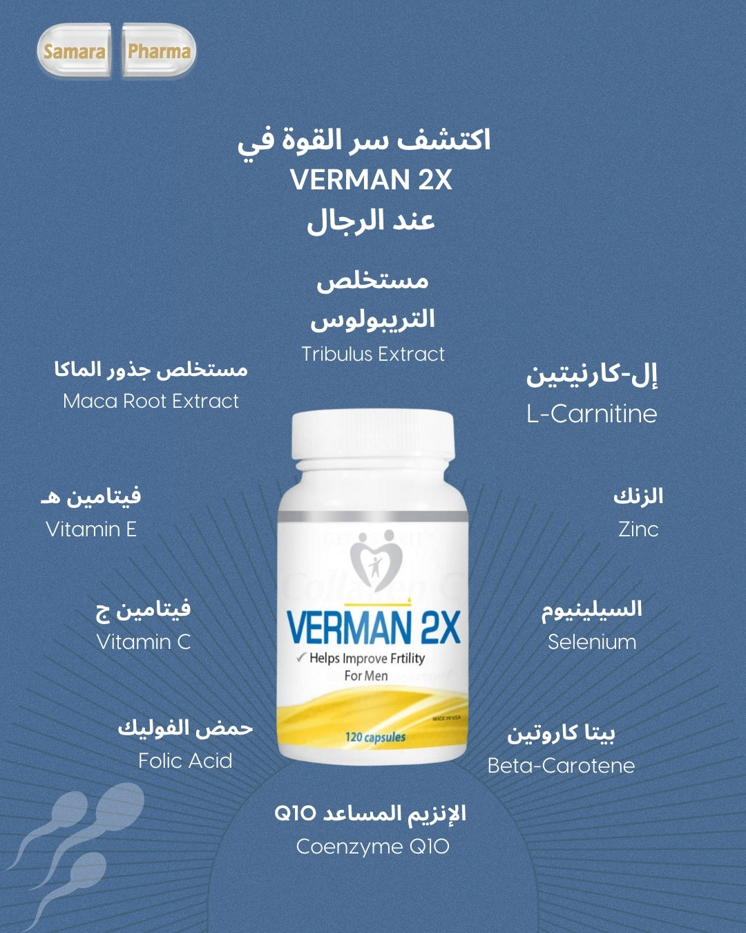 Verman 2X male fertility support sperm quality vitality capsules L carnitine maca tribulus Health Boutique