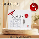 Olaplex Treat & Maintain Kit