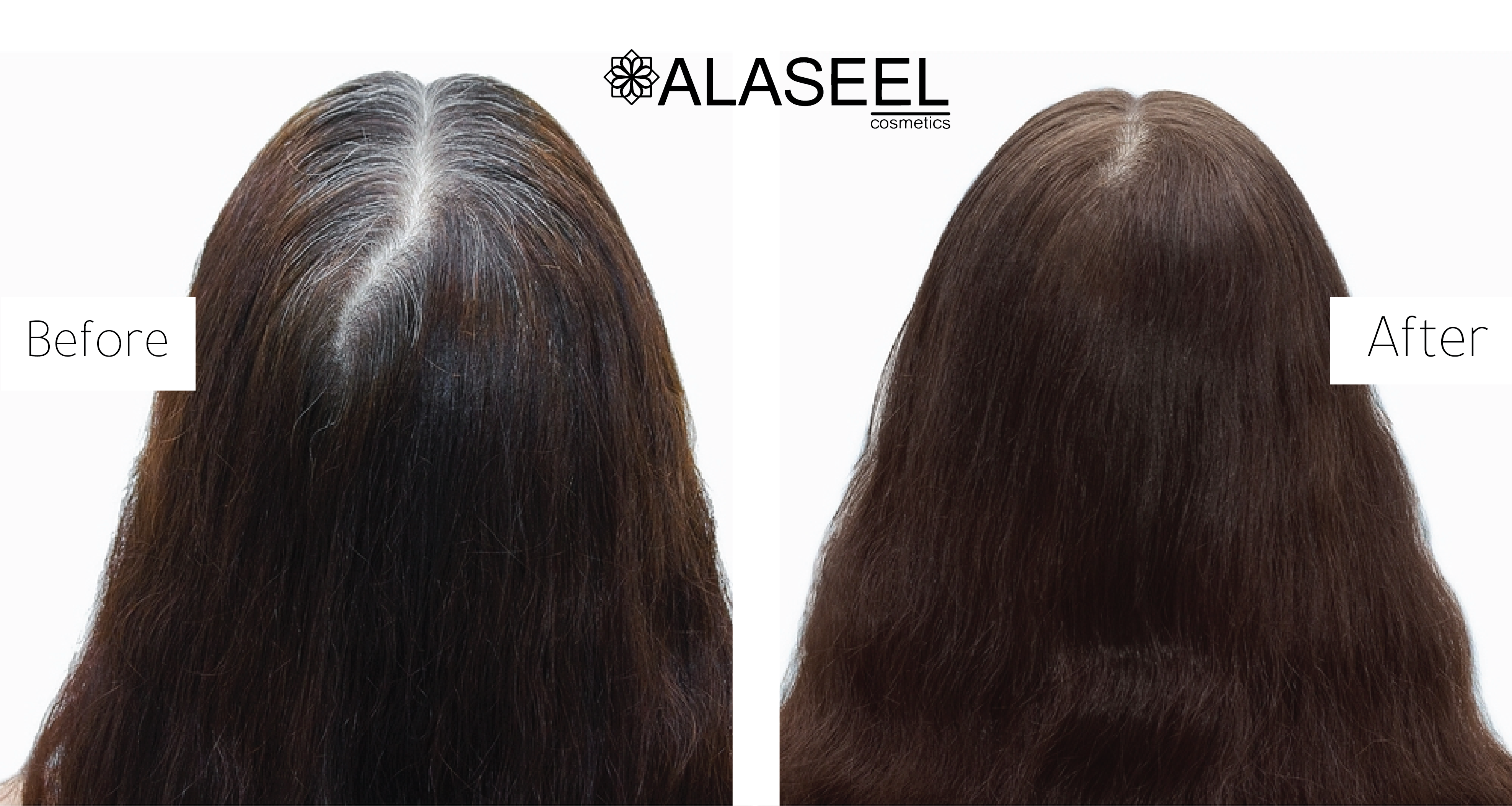 Alaseel Brand Premium Natural Hair Oil - زيت الشعر الطبيعي الفاخر من الأصيل