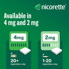 Nicorette Gum Fresh Mint 2 mg & 4 mg nicotine quit smoking gum - Jordan- health Boutique