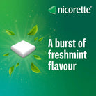 Nicorette Gum Fresh Mint 2 mg & 4 mg nicotine quit smoking gum - Jordan- health Boutique